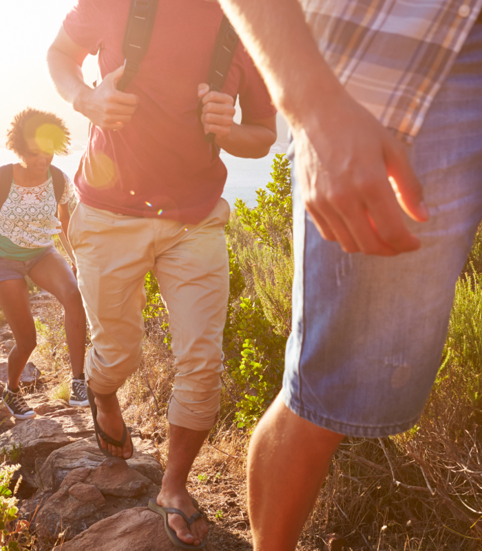 Group Walking Together on a Trail or Open Path